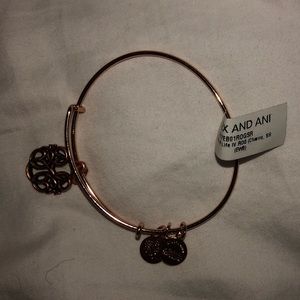 Alex and ani rose gold path of life bracelet